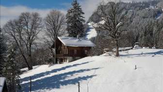 Ferienhaus Chalet Teufi