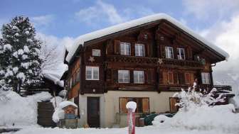 Chalet "Am Bühl"  2-Zimmerwohnung, Eigerhome