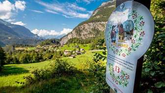 Weidhaus